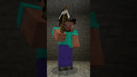 I… AM STEVE!