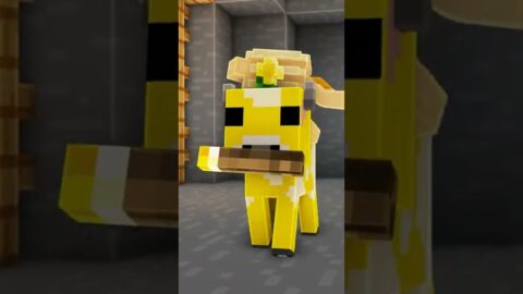Minecraft but I’m a Pancake (PART 3) #shorts